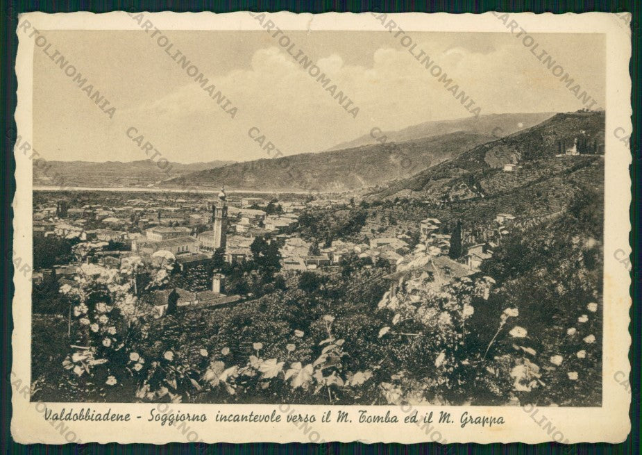 Treviso Valdobbiadene Monte Tomba Grappa PIEGHINE PIEGA FG cartolina VK3156 – fronte