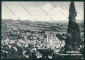Treviso Valdobbiadene Foto FG cartolina VK3164 – fronte