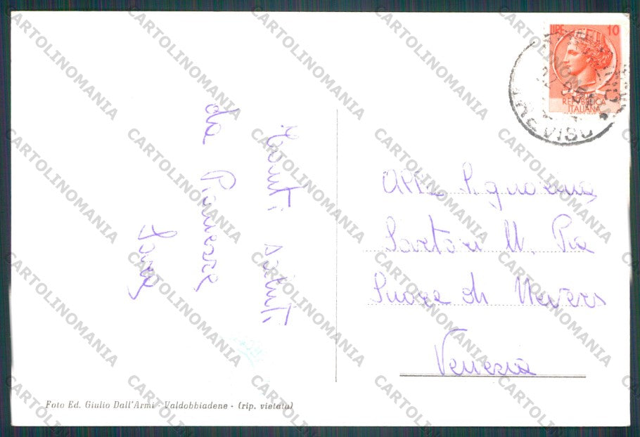 Treviso Valdobbiadene Pianezze Stelle Alpine Foto FG cartolina VK3165 – retro
