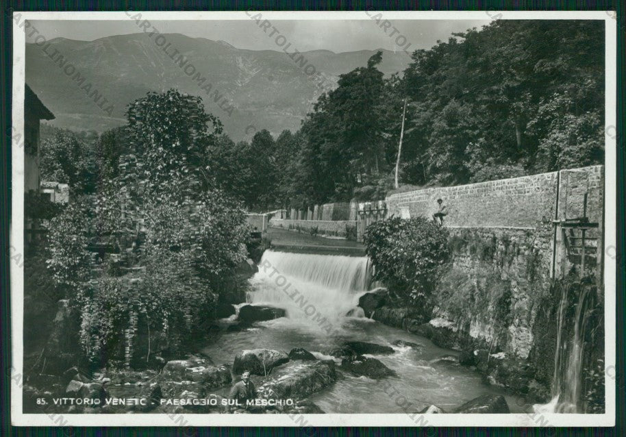 Treviso Vittorio Veneto Foto FG cartolina VK3172 – fronte
