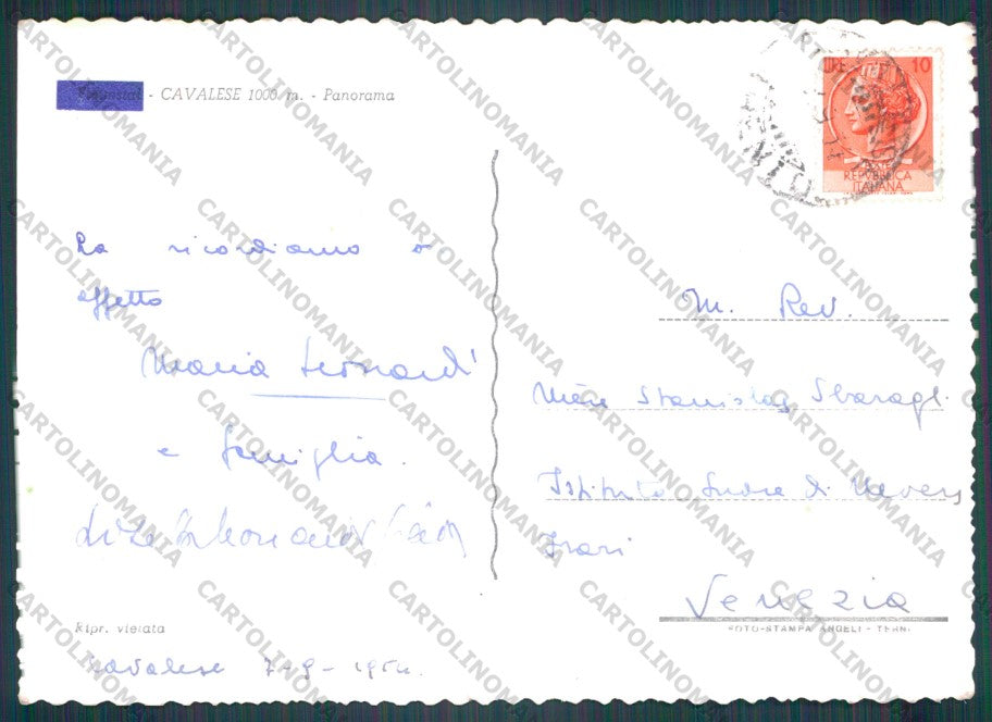 Trento Cavalese Foto FG cartolina VK3188 – retro