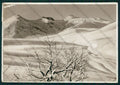Trento Bondone Nevicata ABRASA Foto FG cartolina VK3194 – fronte