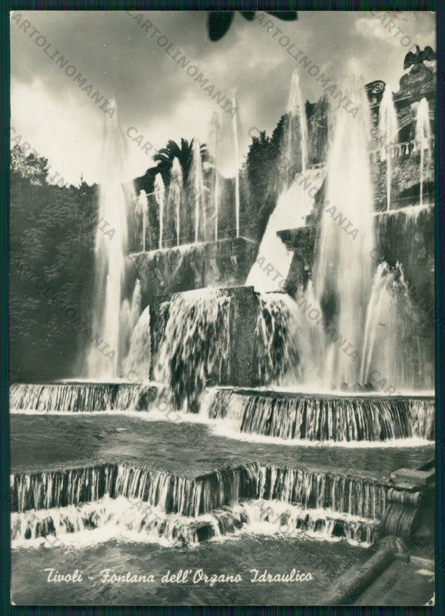 Roma Tivoli Fontana dell'Organo Idraulico Foto FG cartolina VK3233 – fronte