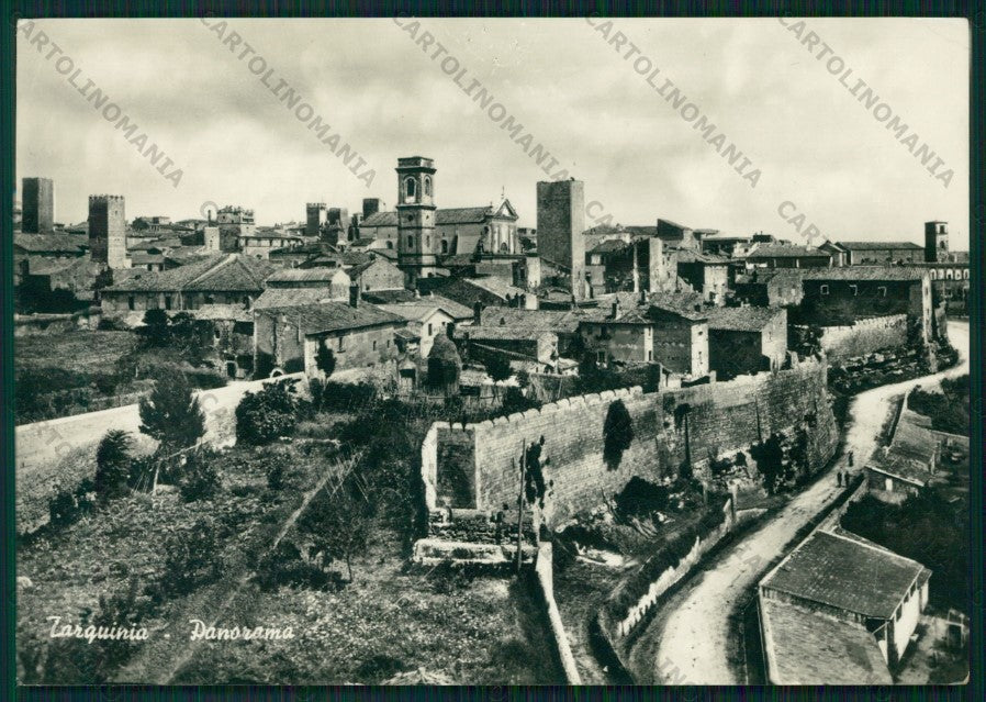 Viterbo Tarquinia PIEGHINA Foto FG cartolina VK3235 – fronte