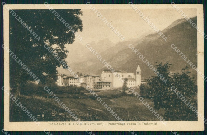 Belluno Calalzo di Cadore STRAPPINO cartolina VK3355 – fronte