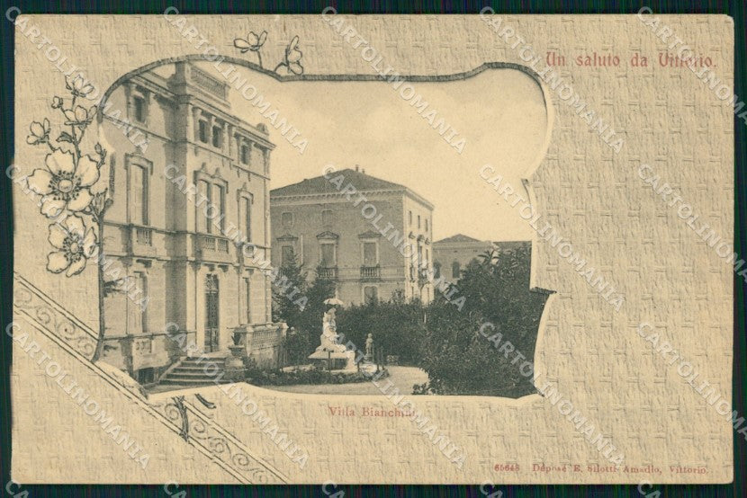 Treviso Vittorio Veneto Villa Bianchini cartolina VK3657 – fronte