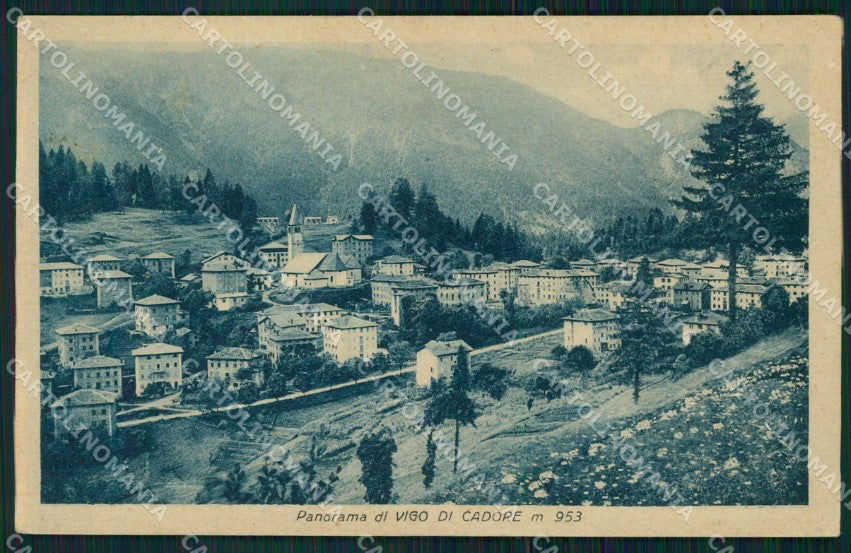 Belluno Vigo di Cadore Panorama cartolina VK3732 – fronte