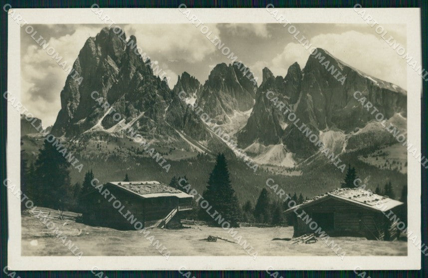 Trento Gruppo del Sasso Lungo dall'Alpe di Siusi Foto cartolina VK3782 – fronte