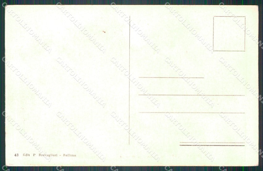 Belluno Cadore Le Marmarole cartolina VK3804 – retro