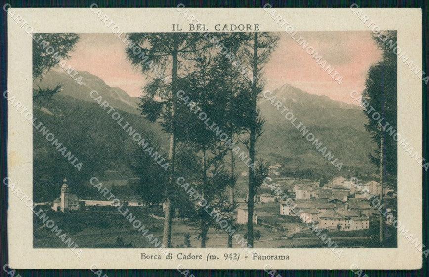 Belluno Borca di Cadore Panorama cartolina VK3817 – fronte
