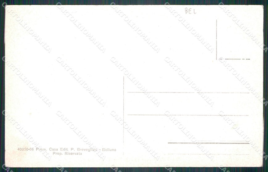 Belluno Borca di Cadore Panorama cartolina VK3817 – retro