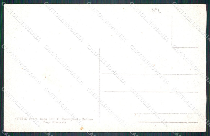 Belluno Valle d'Ampezzo Albergo Pecol Monti Nuvolao e Averao cartolina VK3818 – retro
