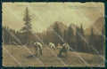 Belluno Cadore Pittoresco Mucche Carducci RIPARATA STRAPPINI cartolina VK3856 – fronte