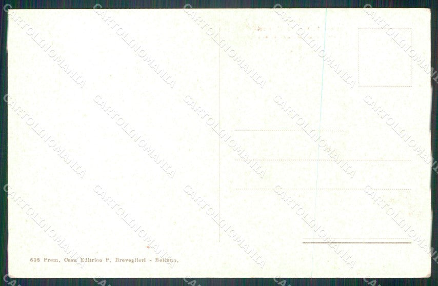 Belluno Cadore Lungo la Valle dell'Ansiei i Tre Ponti cartolina VK3866 – retro