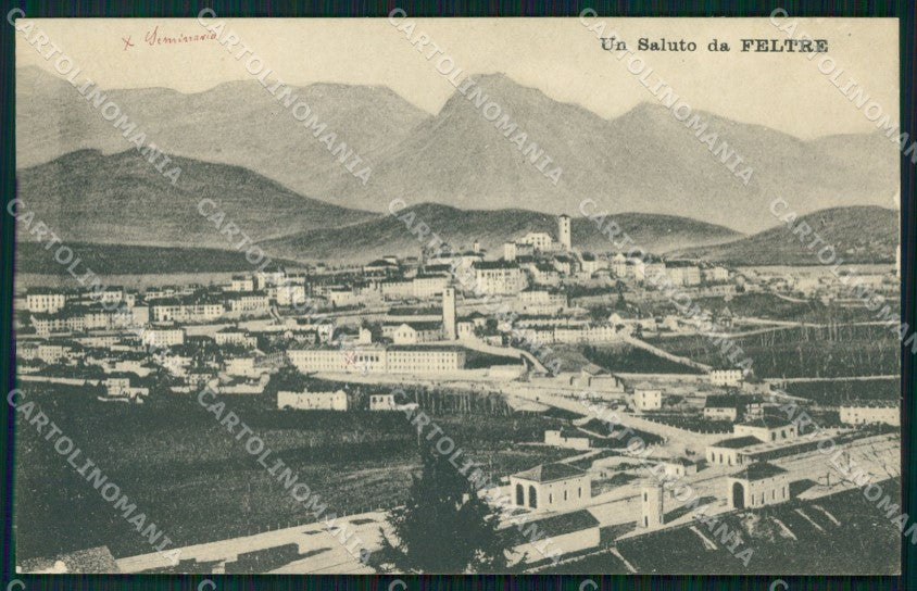 Belluno Feltre Panorama cartolina VK3962 – fronte