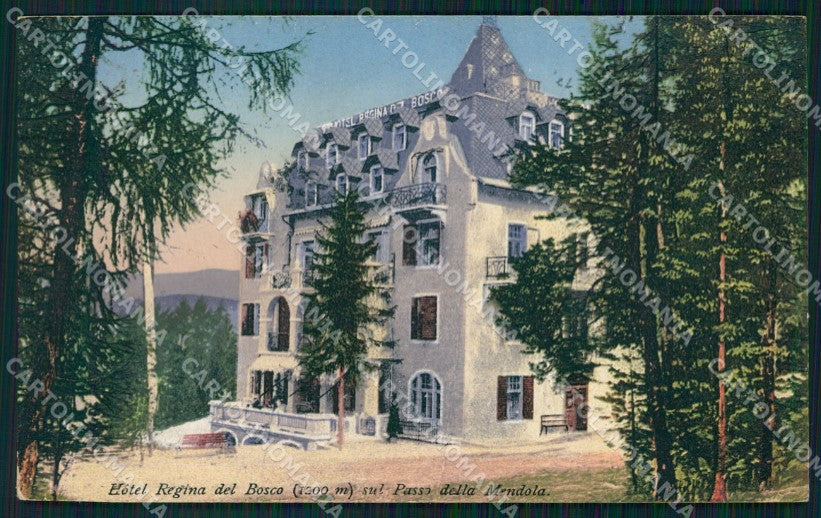 Trento Passo della Mendola Hotel Regina del Bosco cartolina VK4050 – fronte