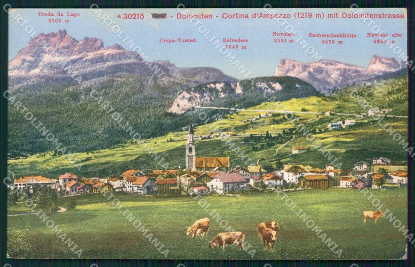 Belluno Cortina d'Ampezzo Mappa Mucche cartolina VK4087 – fronte
