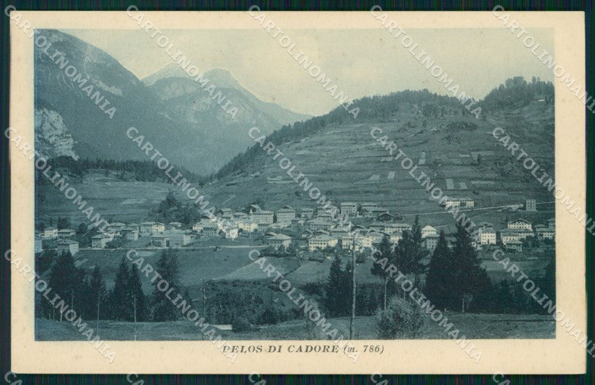 Belluno Vigo di Cadore Pelos di Cadore cartolina VK4106 – fronte