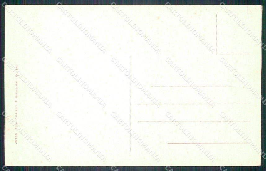 Belluno Vigo di Cadore Pelos di Cadore cartolina VK4106 – retro