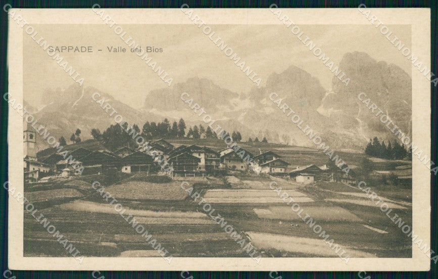 Belluno Sappade Valle del Bios cartolina VK4139 – fronte