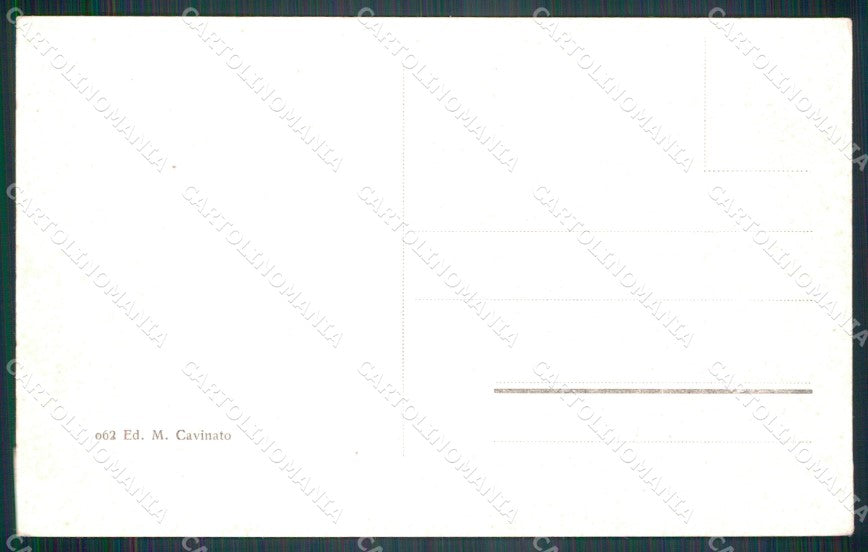 Belluno Sappade Valle del Bios cartolina VK4139 – retro