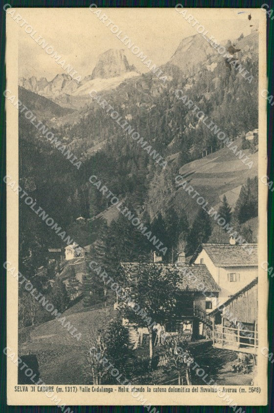 Belluno Selva di Cadore Catena del Nuvolau cartolina VK4307 – fronte