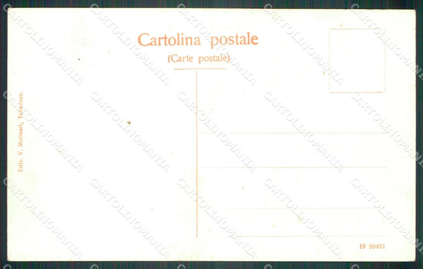 Udine Tolmezzo Panorama cartolina VK4370 – retro