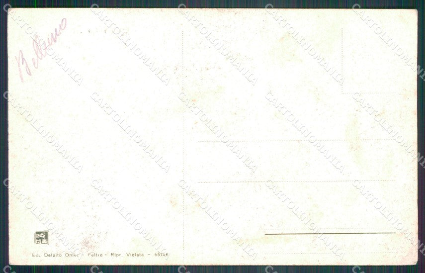 Belluno Arsiè cartolina VK4415 – retro
