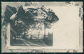 Vicenza Schio Viale Villetta dei Frati Foto cartolina VK4437 – fronte