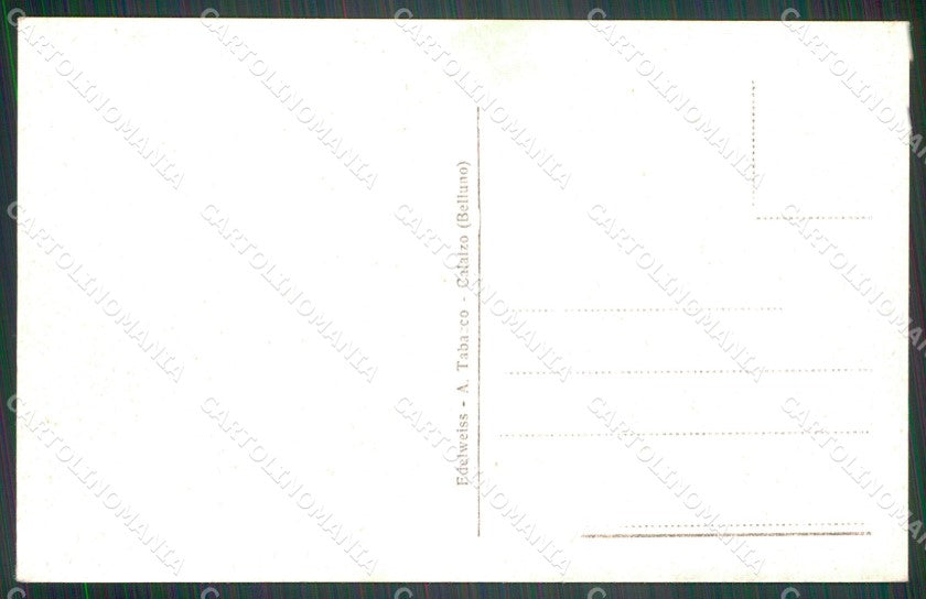 Belluno Calalzo Cadore Marmarole cartolina VK4454 – retro