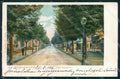 Parma Salsomaggiore Viale Romagnosi cartolina VK4622 – fronte