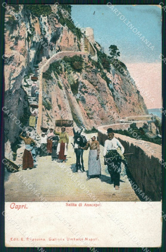 Napoli Capri Salita di Anacapi Asino cartolina VK4630 – fronte