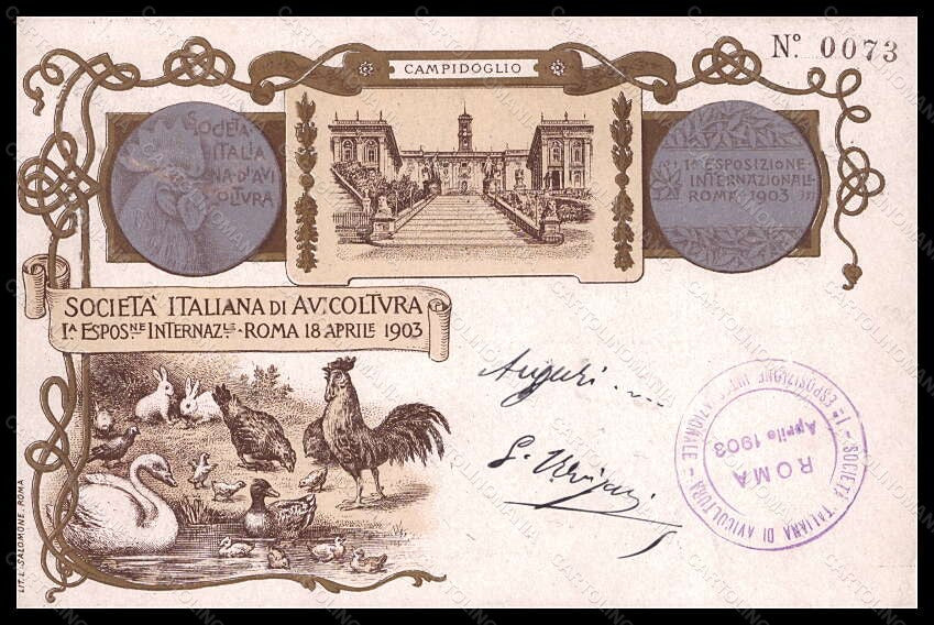 Roma città I Expo Società Italiana di Avicoltura Gallo Cigno postcard VK6106 – fronte