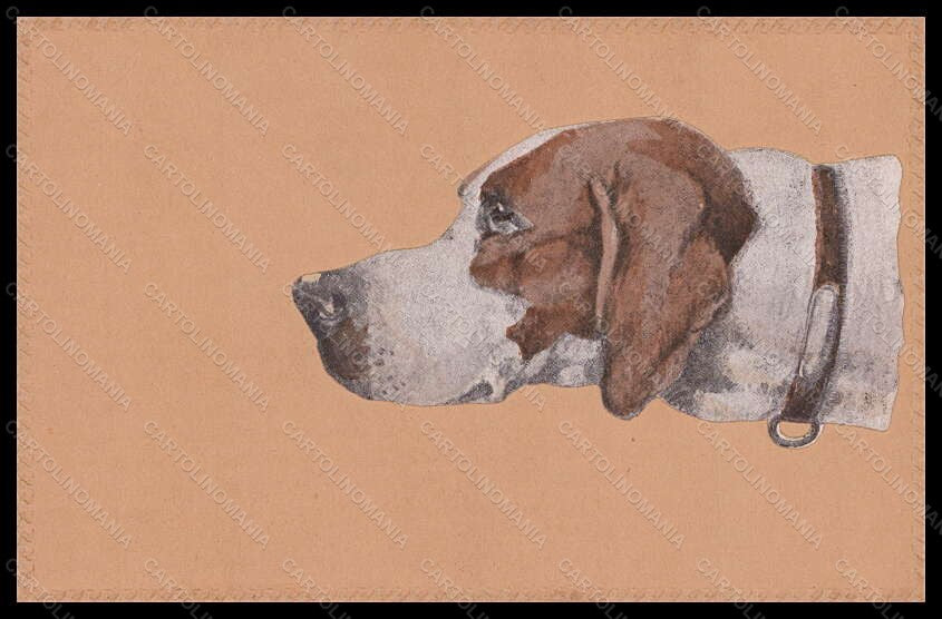 Artist Signed Illustratori OPF English Pointer Dog Relief postcard VK6152 – fronte