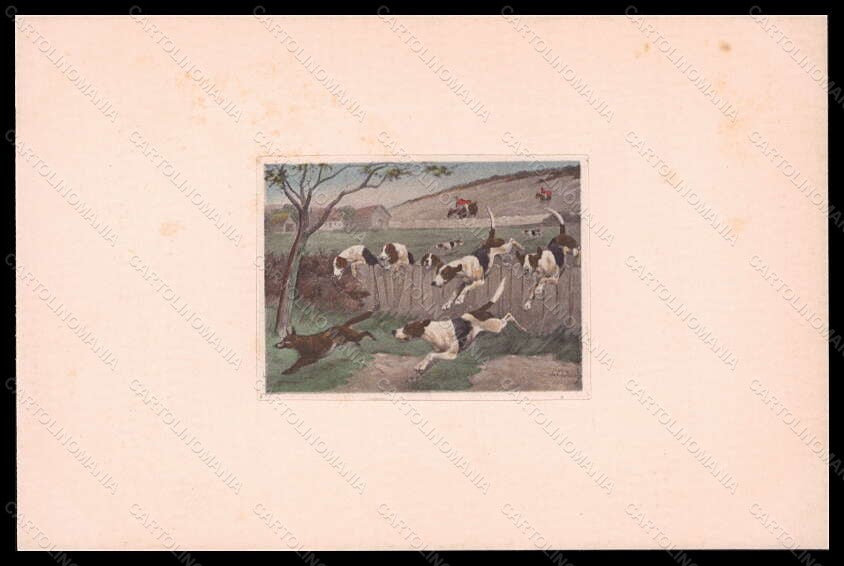 Artist Signed Fox Hounting Horse English Foxhound Dog postcard VK6168 – fronte
