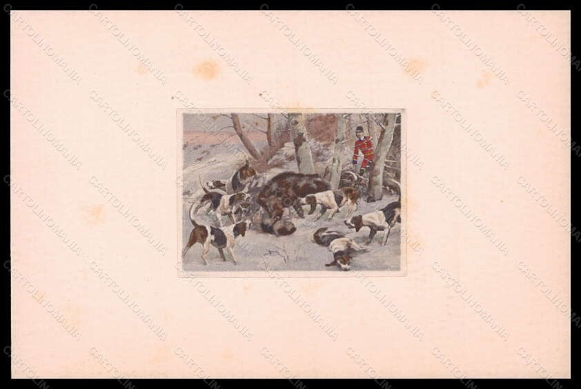 Artist Signed Illustratori Boar Hounting English Foxhound Dog postcard VK6169 – fronte