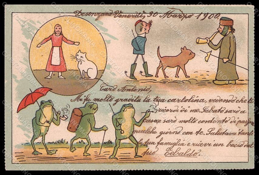 Artist Signed Illustratori Humanized Frogs Doll Cat Puppet postcard VK6746 – fronte