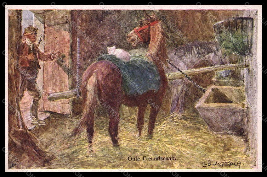 Artist Signed Ludwig Koch Horse Pferd Cat BKWI serie 660-5 postcard VK6757 – fronte