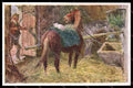 Artist Signed Ludwig Koch Horse Pferd Cat BKWI serie 660-5 postcard VK6767 – fronte