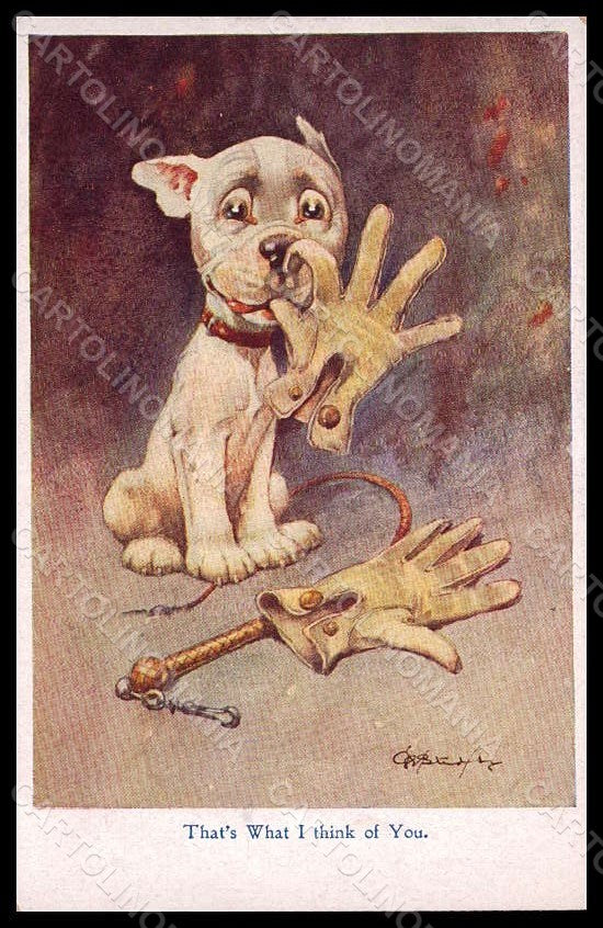 Artist Signed Studdy Bonzo Dog French Bulldog serie 1005 postcard VK7237 – fronte