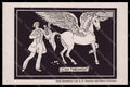 Artist Signed Christiani Mateo Pegasus Man Der Naturalist postcard VK7663 – fronte