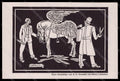 Artist Signed Christiani Mateo Pegasus Man Die Kritik postcard VK7664 – fronte