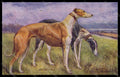 Artist Signed Drummond Greyhound Dog Levriero serie 9381 pc VK7810 – fronte
