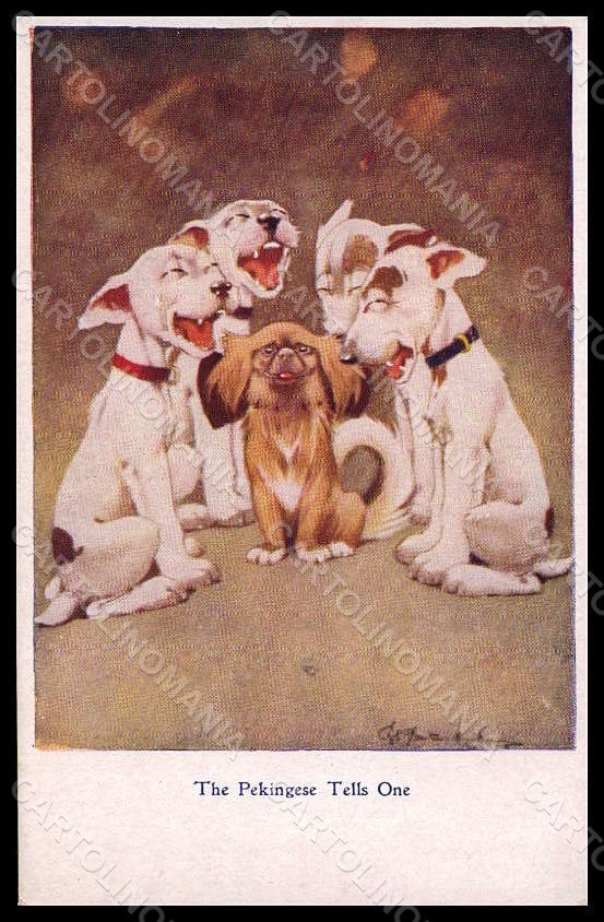 Artist Signed Studdy Bonzo Pekingese Dog French Bulldog serie 1034 pc VK7905 – fronte