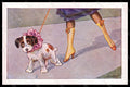 Artist Signed Bertiglia A. Fashion Lady Boot Dog Art Deco serie 2022-6 pc VK7972 – fronte