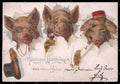 Artist Signed Dressed Humanized Pig Toasting New Year serie 7244 postcard VK8016 – fronte