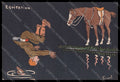 Artist Signed Fernel Horse Equitation Man Sport Comic postcard VK8077 – fronte