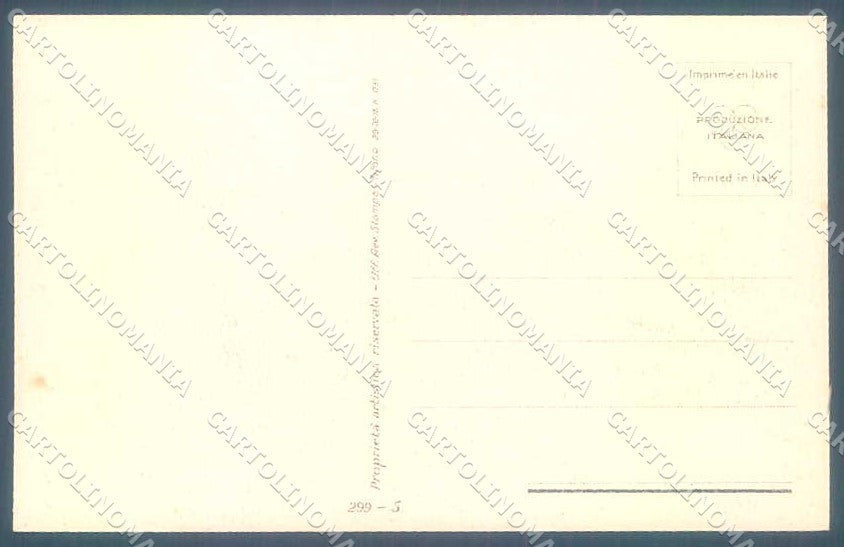 Artist Signed Terzi Fashion Glamour Lady Flowers serie 299-5 postcard VK9197 – retro