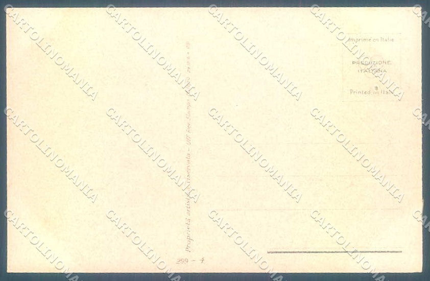 Artist Signed Terzi Fashion Glamour Lady Flowers serie 299-4 postcard VK9199 – retro