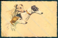 Artist Signed Corbella ? Greyhound Borzoi Dog Degami CORNER CREASED pc VK9508 – fronte